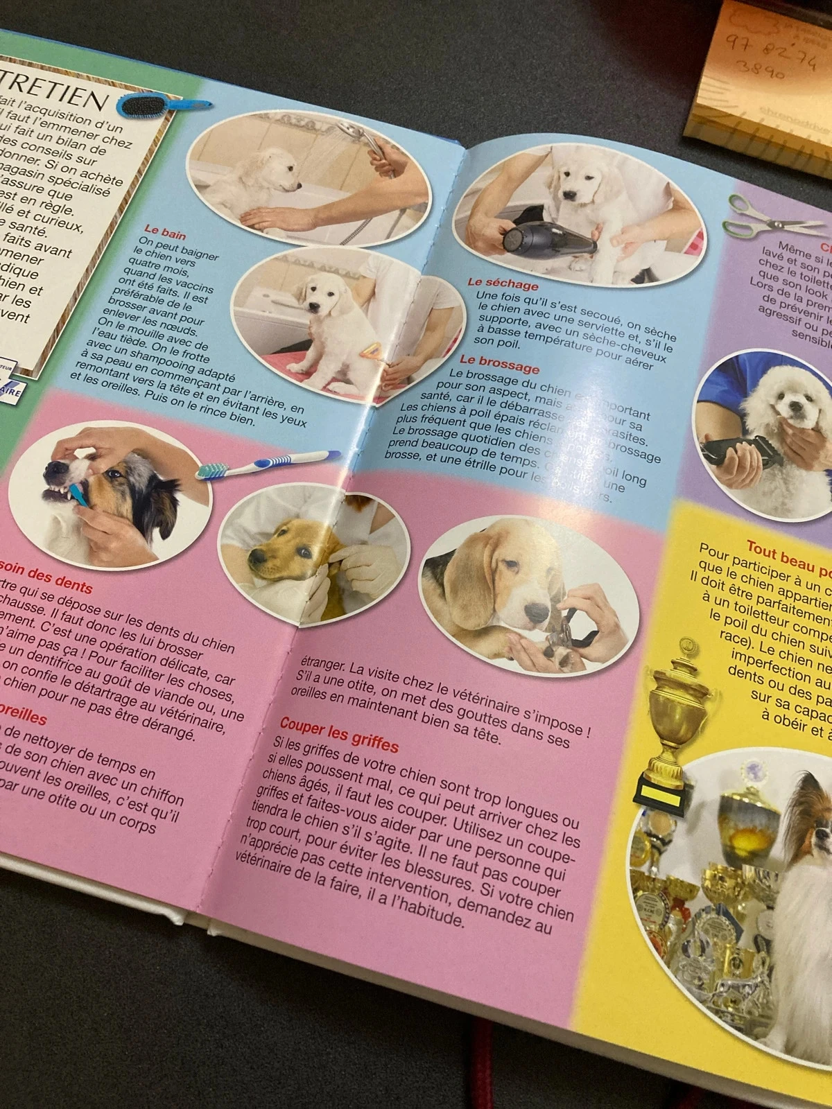 The great imagery dogs book album fleurus – photo 3